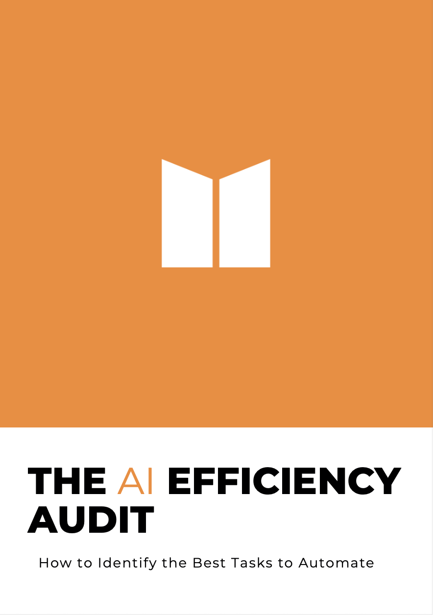 Cover of The AI Efficiency Audit